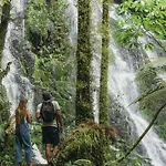Treetops Lodge & Estate