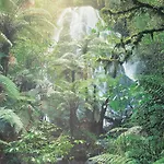 Treetops Lodge & Estate