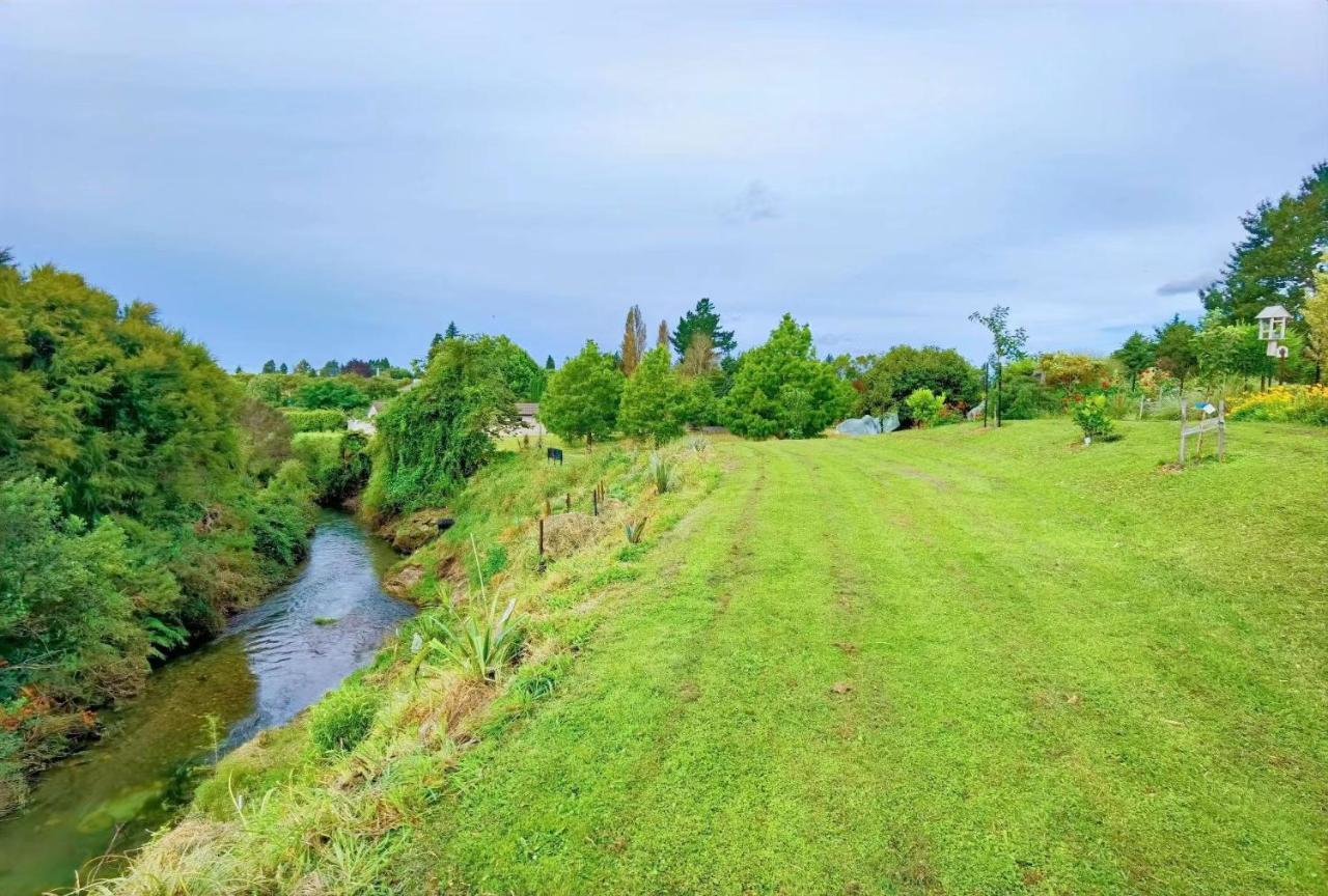 Tranquil Stream * Rotorua