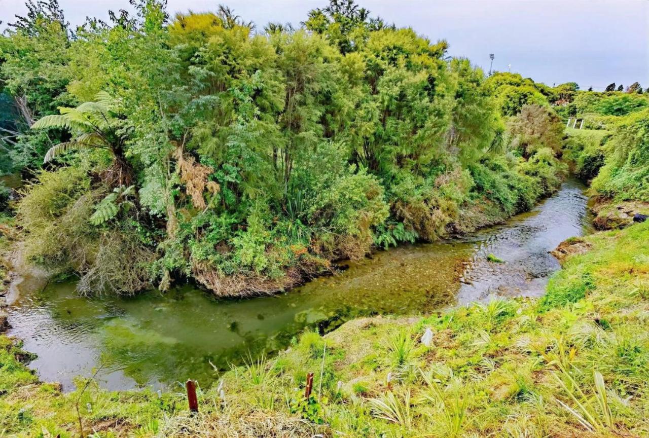 Tranquil Stream