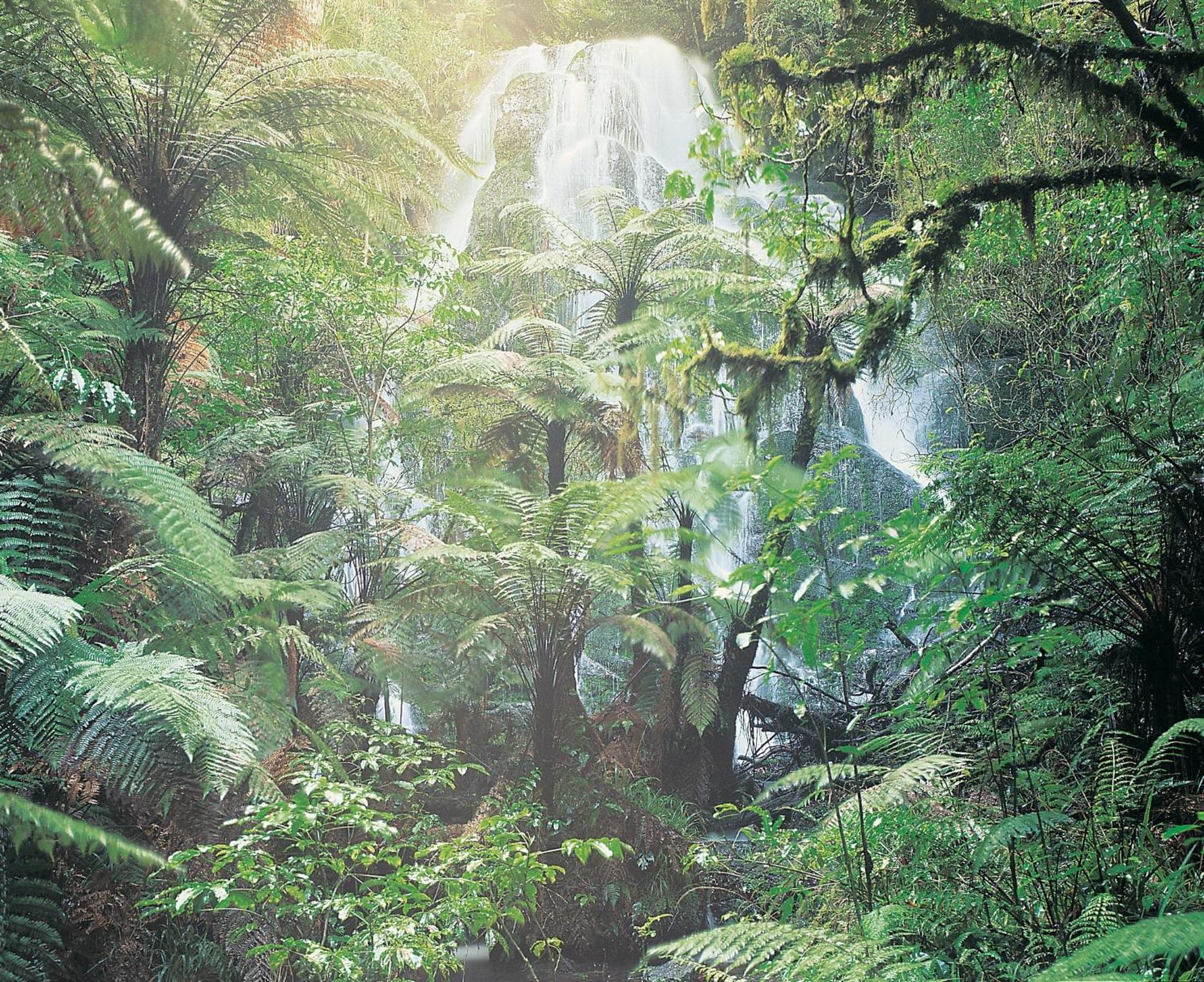 Treetops & Estate Resort 5*