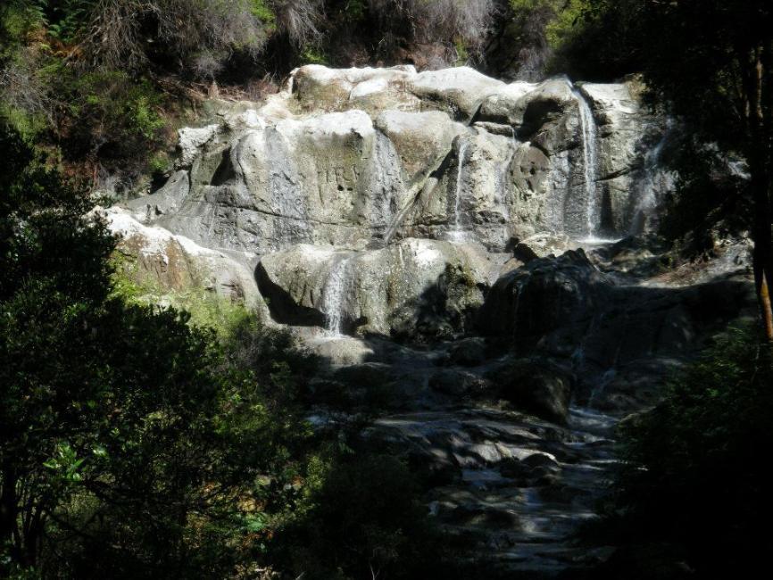 Springwaters Rotorua