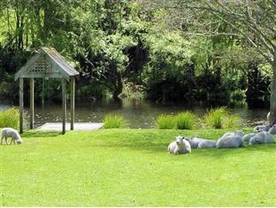 Bed & Breakfast Mokoia Downs