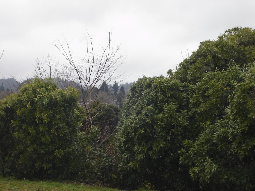 Zen Two-bedroom Unit Rotorua