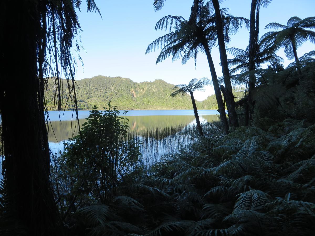 Silvereye Retreat
