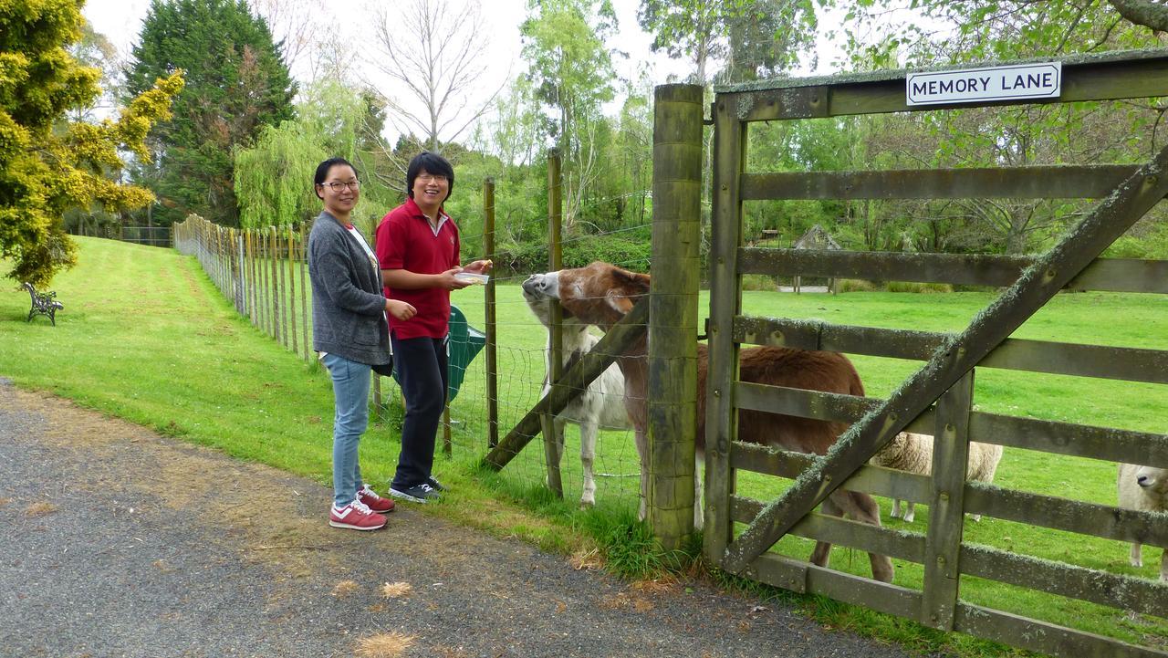 Bed & Breakfast Mokoia Downs Rotorua