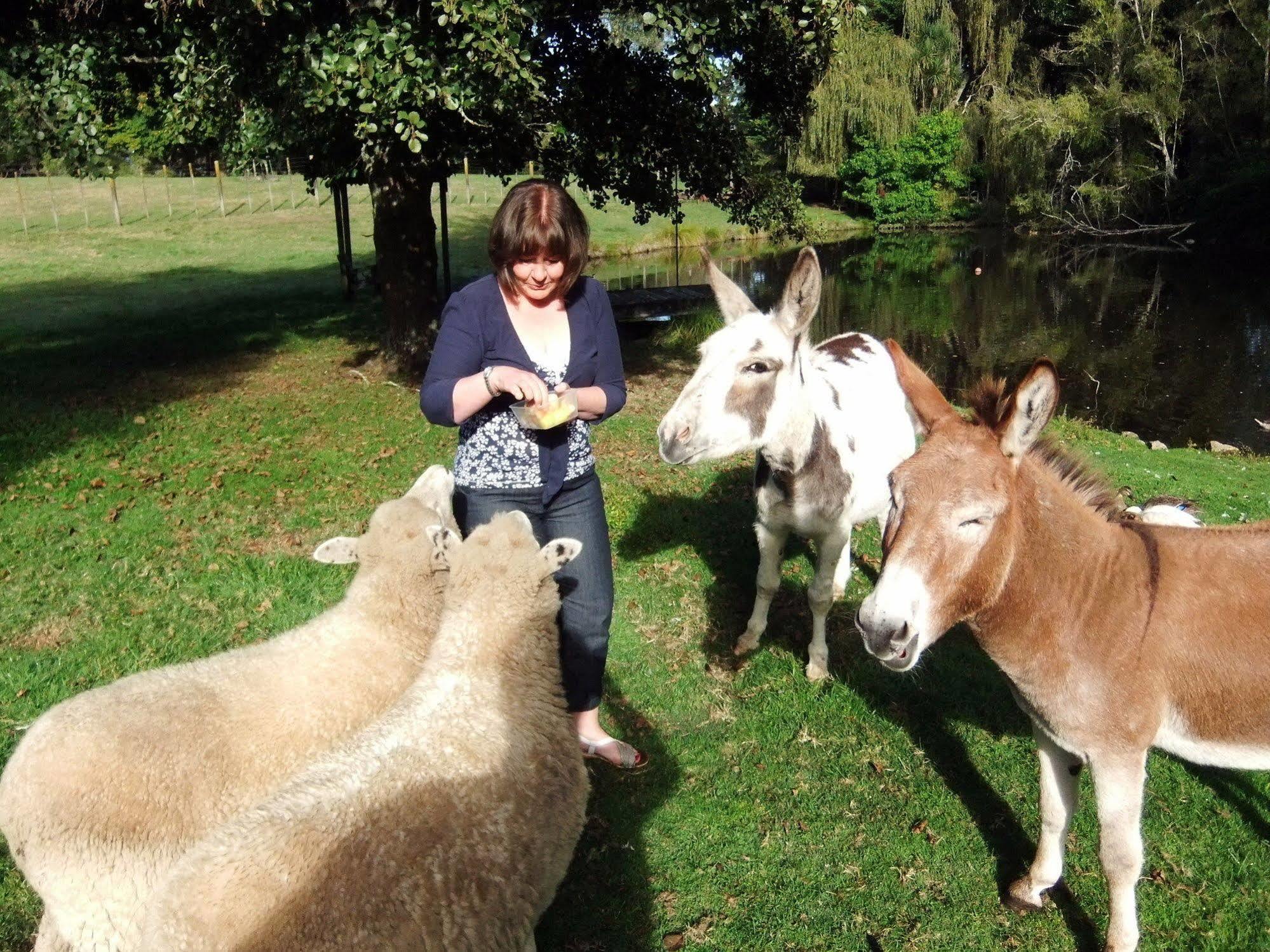 Bed & Breakfast Mokoia Downs Rotorua