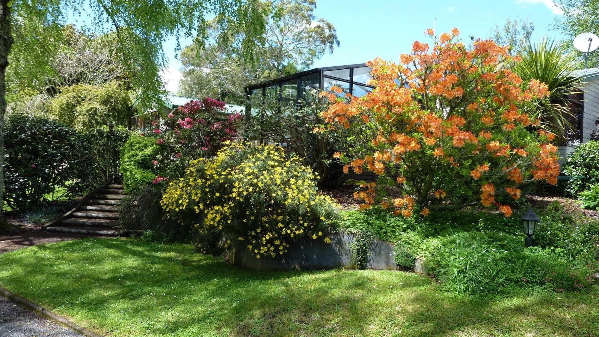 Mokoia Downs 5* Rotorua