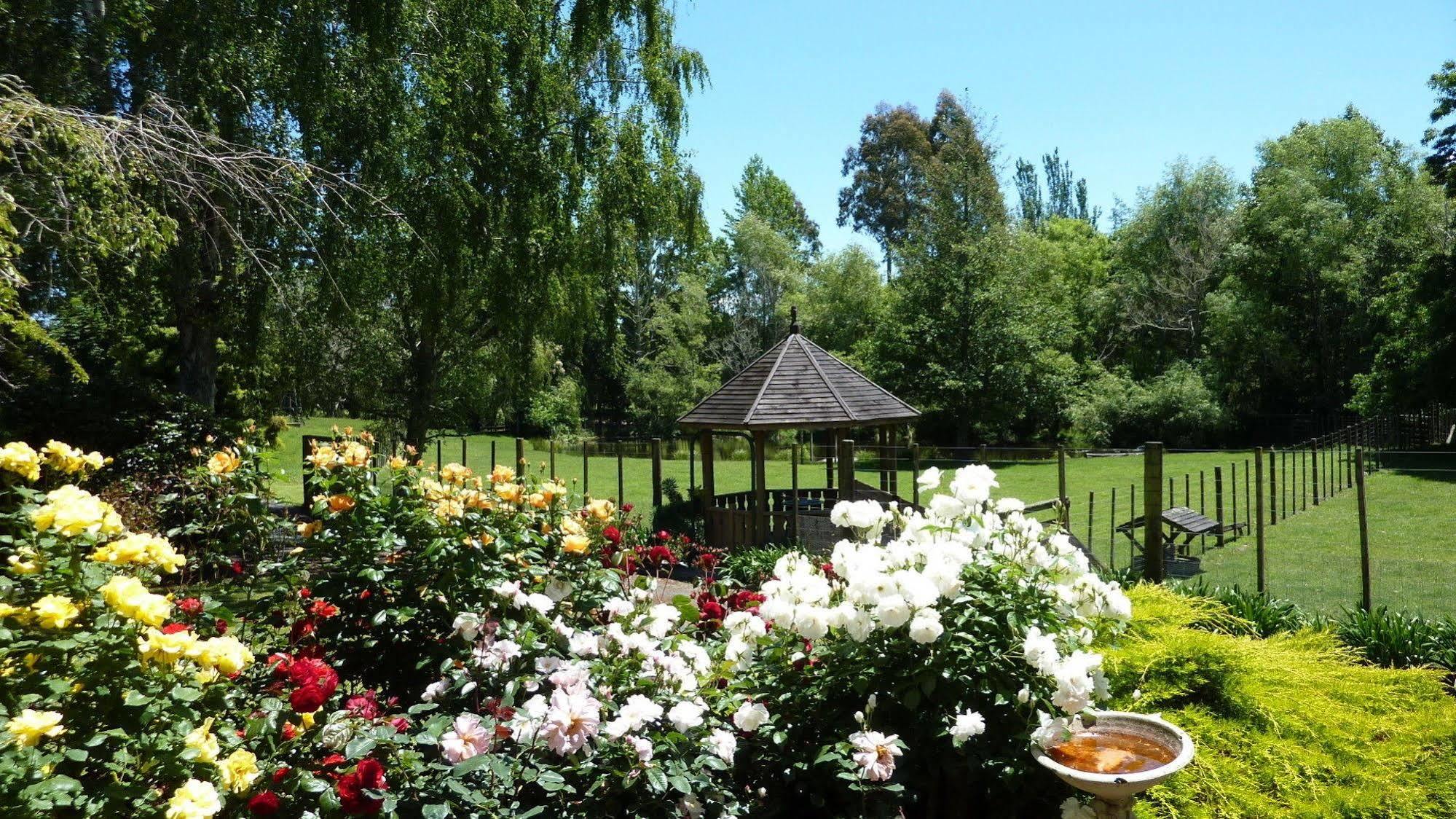 Mokoia Downs 5* Rotorua