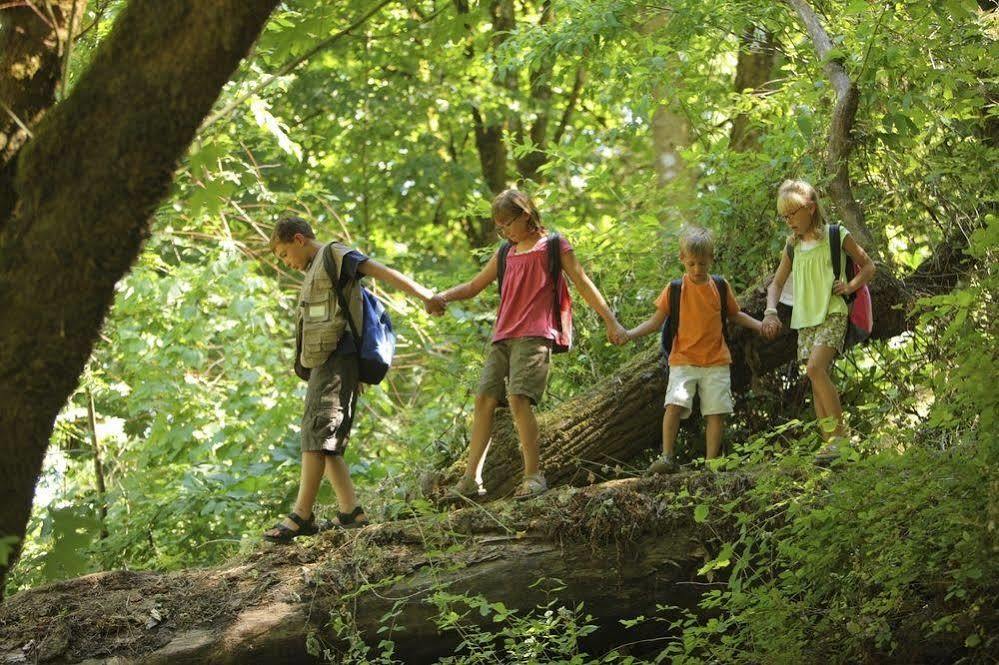 Resort Treetops & Estate 5*