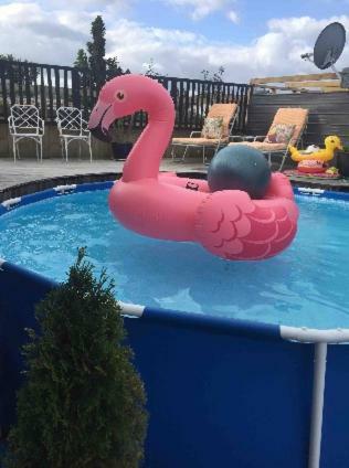 Holiday home Skyline Skyrides Premium Property, Host Info For Pets Rotorua