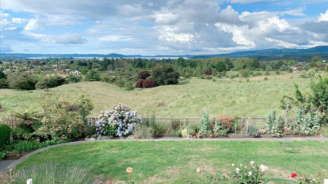 Panoramic View Without A Kitchen