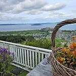 Aorangi Mountain Lodge