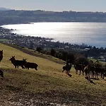 Aorangi Highland Country Retreat