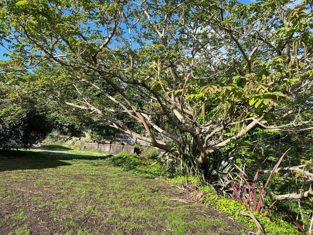 Under Walnut Tree Apartment
