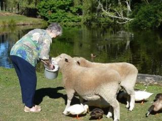 Acomodação com café da manhã  Mokoia Downs Rotorua
