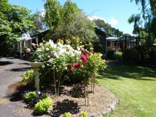 Mokoia Downs Rotorua