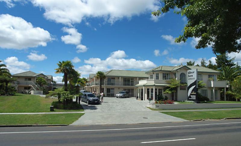 Silver Fern &