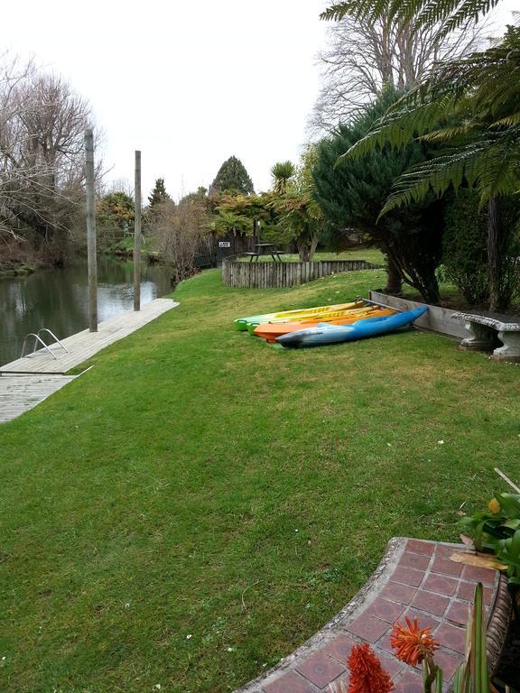 Waiteti Trout Stream
