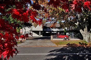 Motel Accolade Rotorua