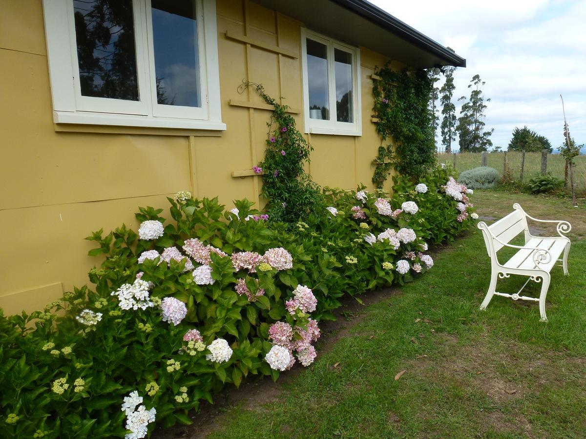 Bed & Breakfast Blossom
