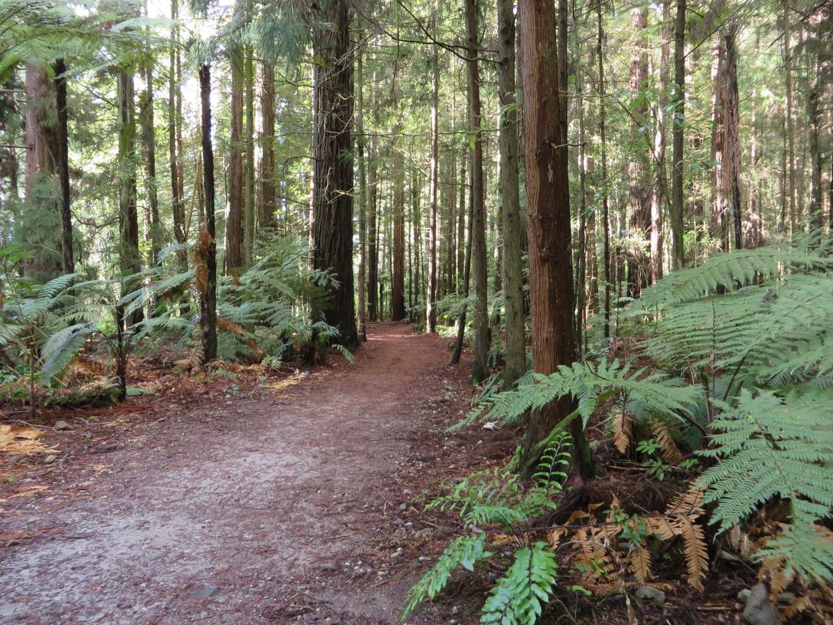 Silvereye Retreat Bed & Breakfast