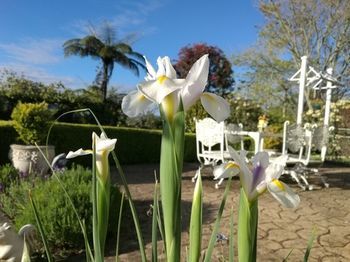 Country Estate Hotel