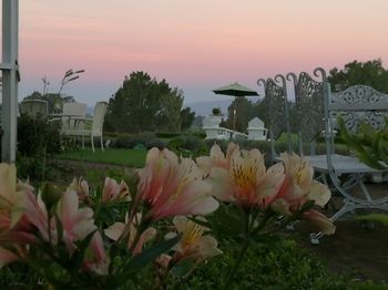 Country Estate Hotel *