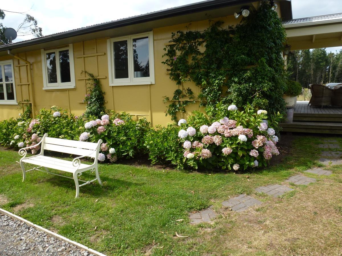 Bed & Breakfast Blossom