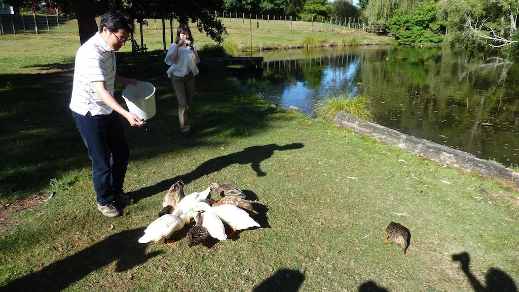 Acomodação com café da manhã  Mokoia Downs Rotorua