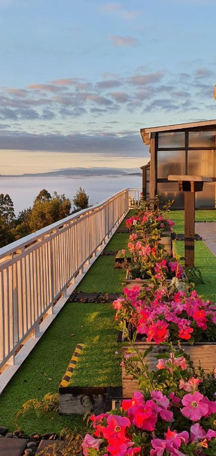 Aorangi Mountain Lodge Holiday home
