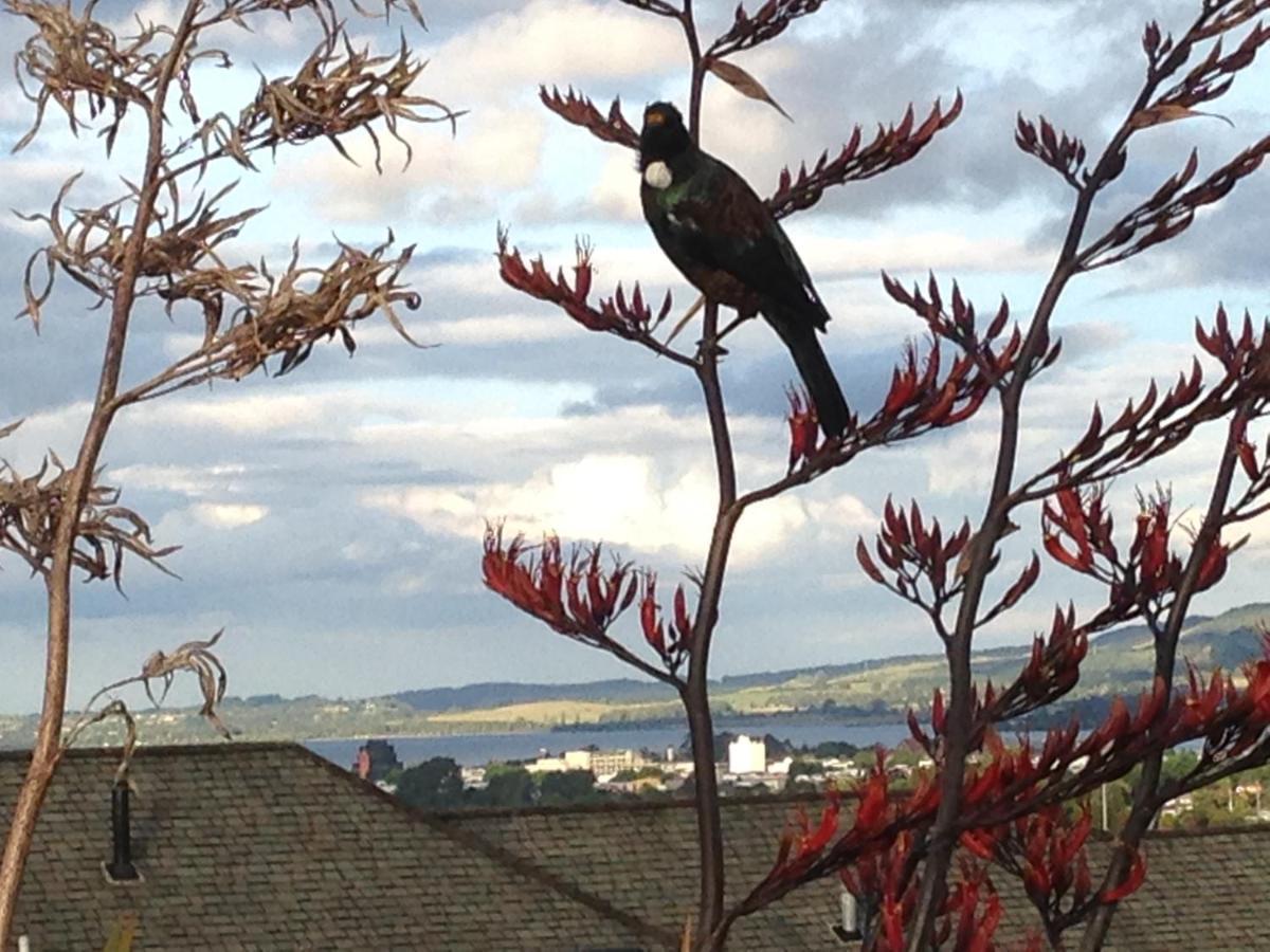 Karanda Rotorua