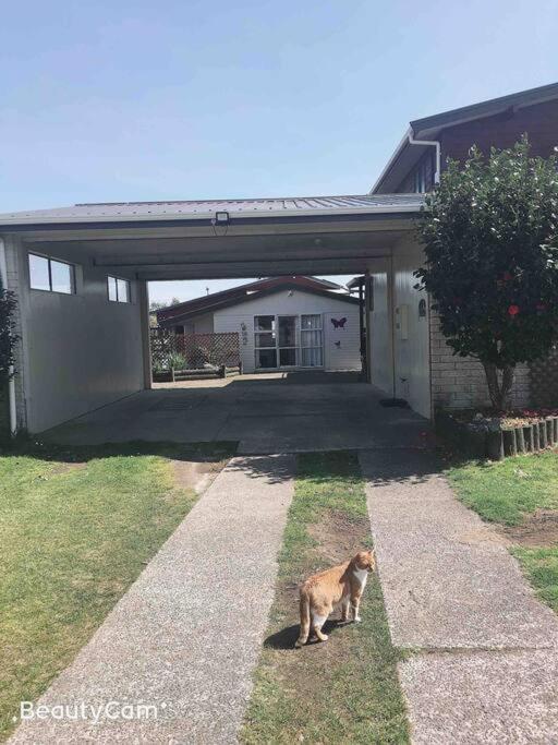 Budget Short Guest house Rotorua