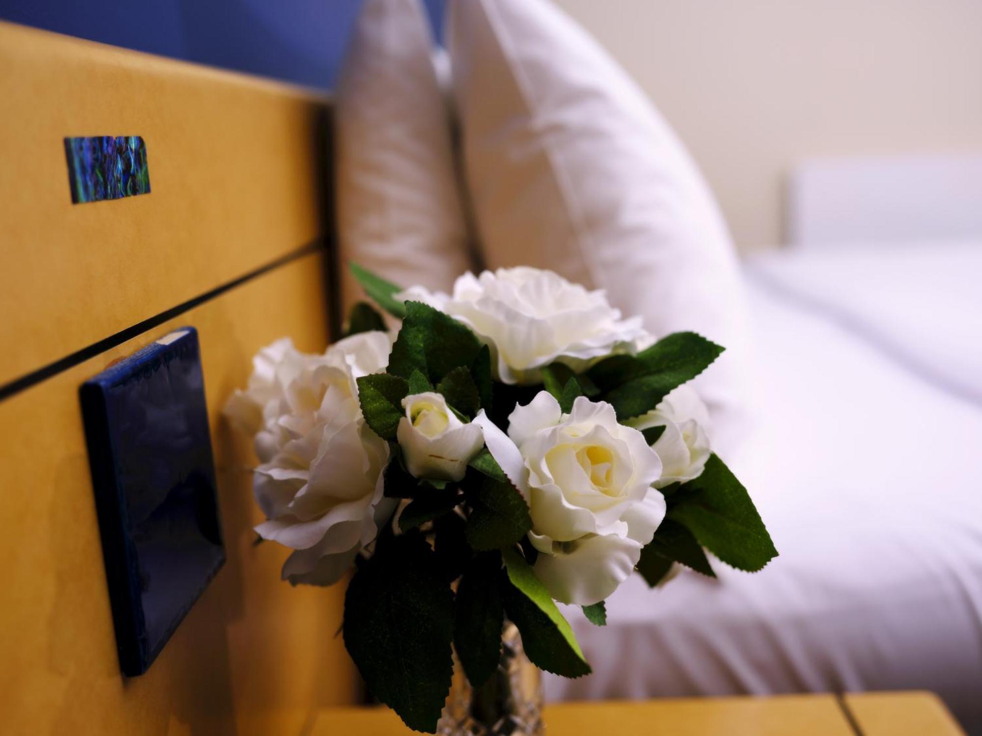 Alpin & Conference Centre 4* Rotorua