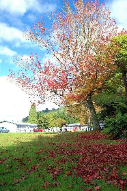 Fairy Springs Rotorua