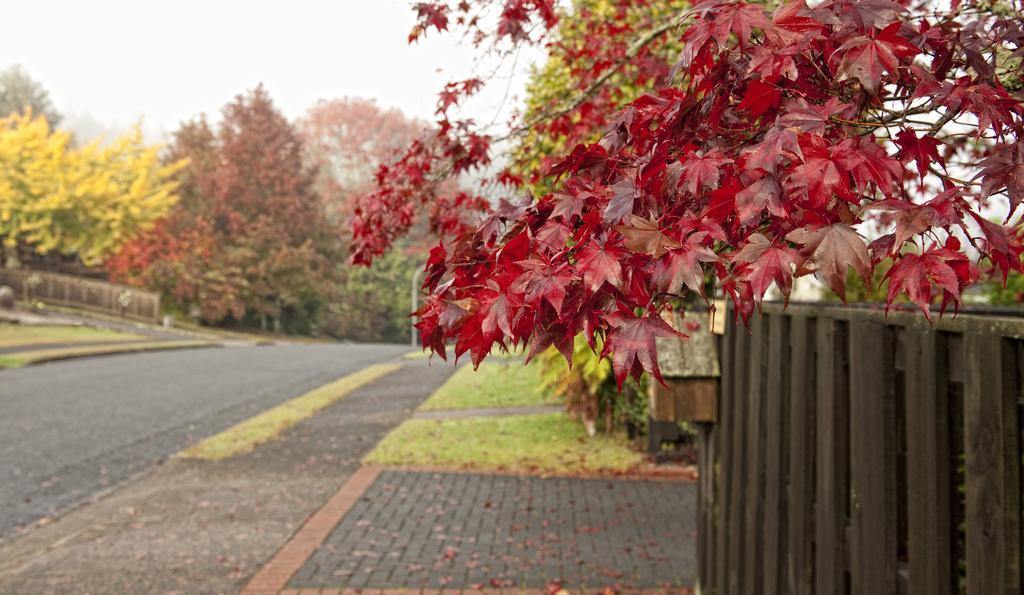 Acomodação com café da manhã  B&b@the Redwoods 4*