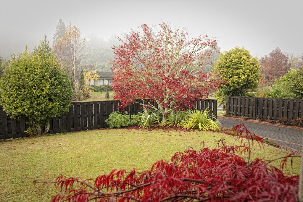B&b@the Redwoods
