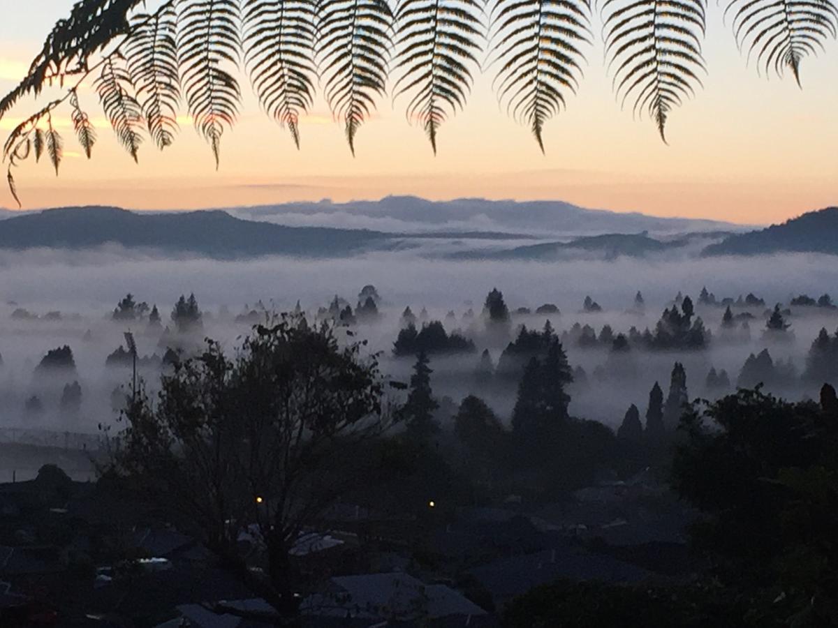 Karanda Rotorua