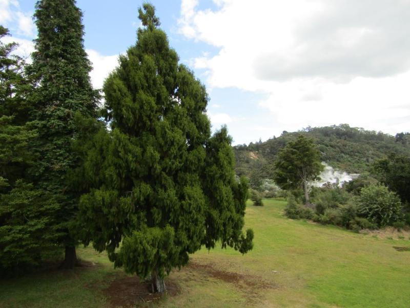 Pohutu 3* Rotorua