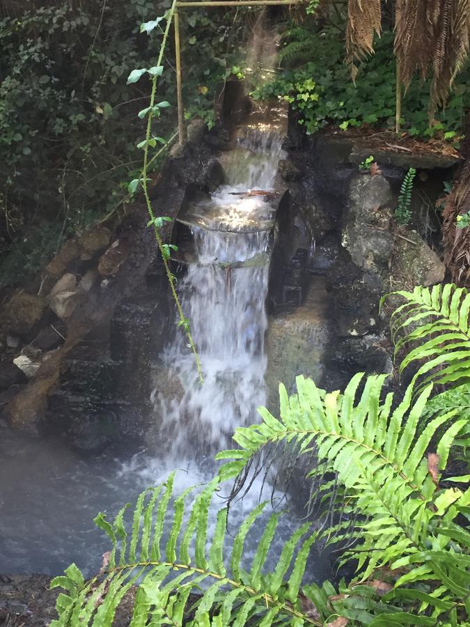 Golden Springs Motel, Holiday Park Rotorua