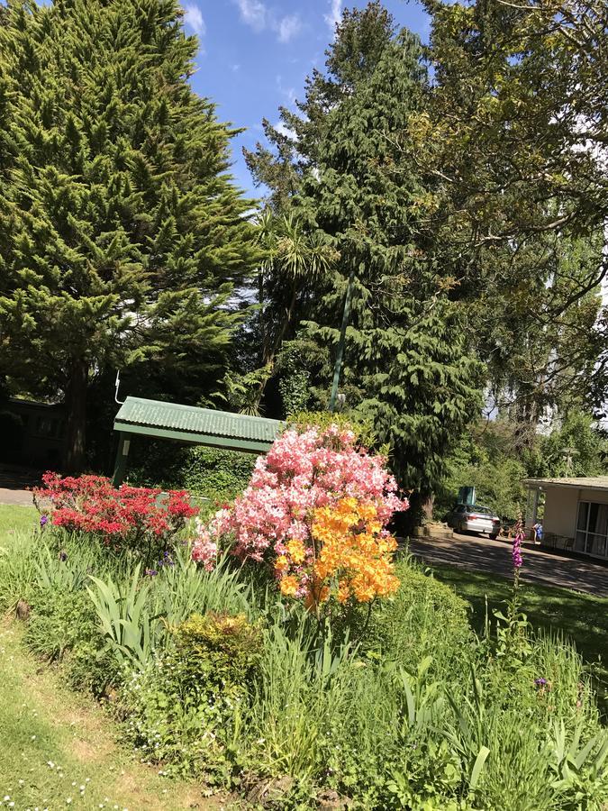 Golden Springs Motel, Holiday Park Motel 3*