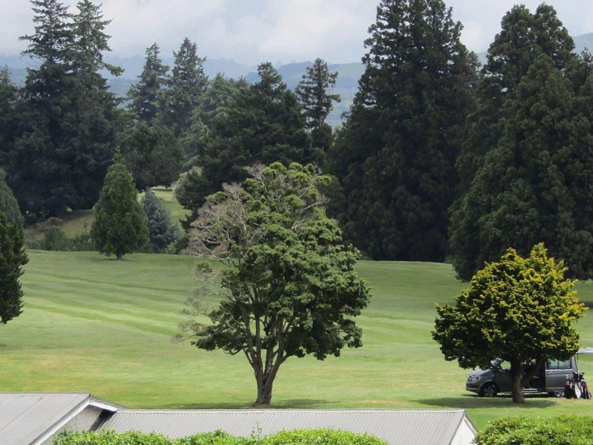 Pohutu Motel Rotorua