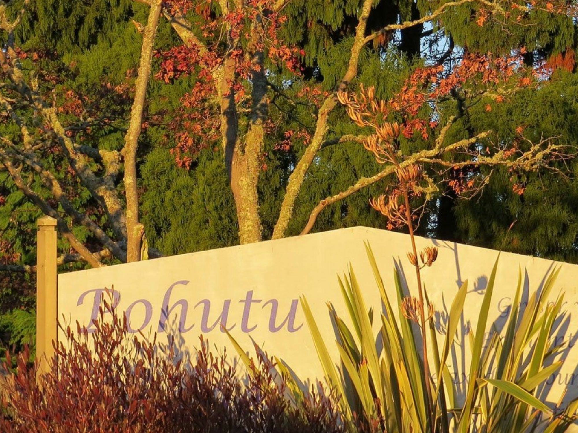 Pohutu Rotorua